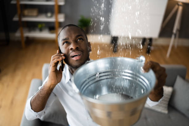 Best Ceiling water damage repair  in Juneau, AK