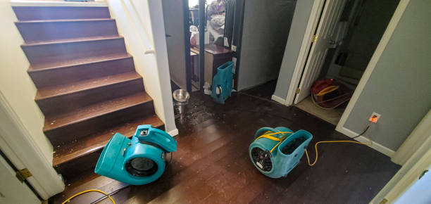 Best Mold removal after water damage  in Juneau, AK