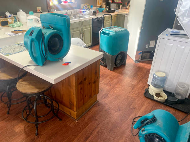 Best Commercial water damage restoration  in Juneau, AK