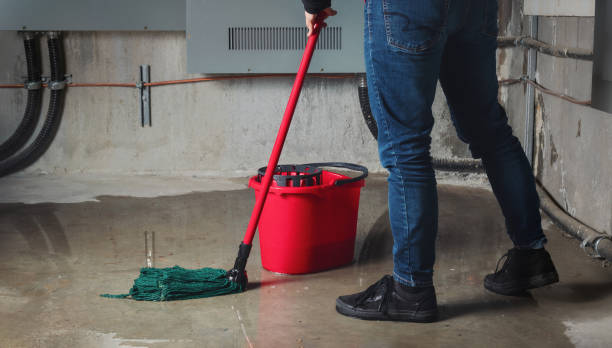Best Ceiling water damage repair  in Juneau, AK