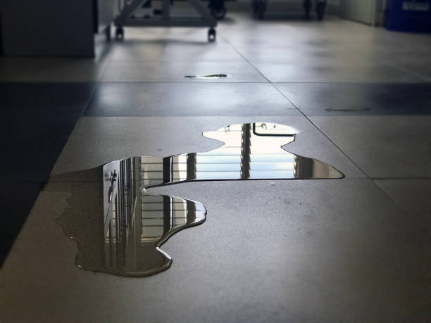 Best Water damage restoration near me  in Juneau, AK