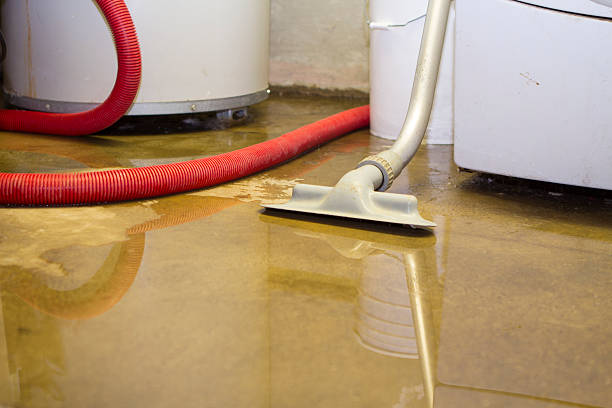 Best Flood damage cleanup  in Juneau, AK