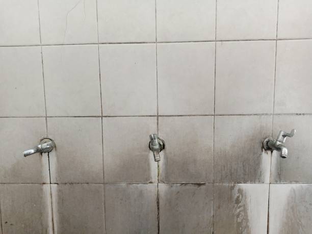 Best Ceiling water damage repair  in Juneau, AK