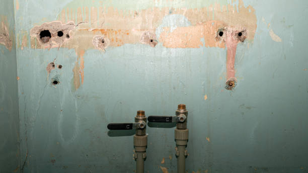 Best Emergency water extraction  in Juneau, AK