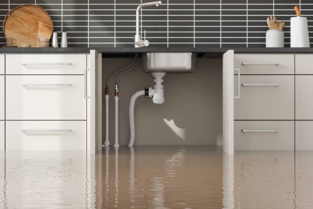 Best Ceiling water damage repair  in Juneau, AK