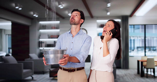 Best Flooded house restoration  in Juneau, AK
