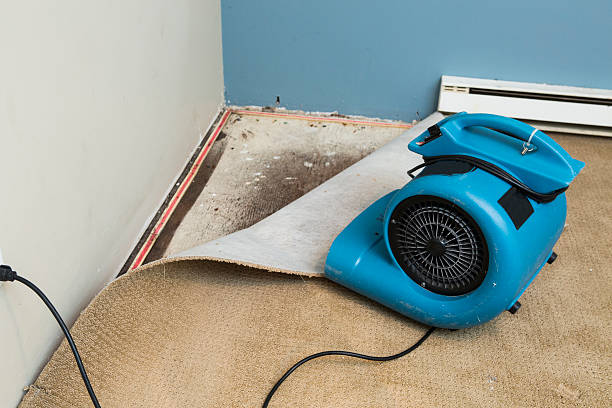 Best 24/7 water damage repair  in Juneau, AK